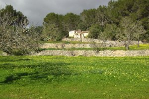 47. Landschaft Algaida